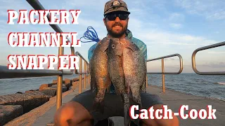 JETTY Fishing for SNAPPER using live bait! PACKERY CHANNEL! (Corpus Christi, Texas) #fishing