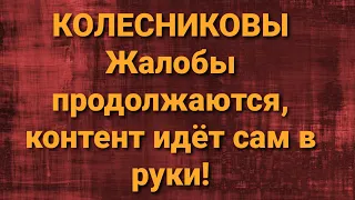 Семья Колесниковых/Новости из Дворца.