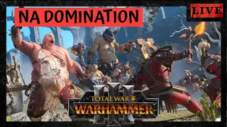 Friday Night Rumble! | NA Domination Tournament | Total War Warhammer 3