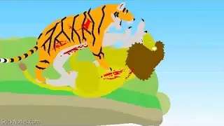 Бенгальский тигр против африканского льва!!!