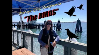 Bodega Bay, CA: filming sites of Alfred Hitchcock's film, "The Birds"; Senior RV Trip 2021-video #16