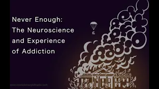 Never Enough: The Neuroscience and Experience of Addiction