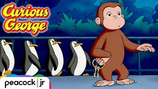 George's Night at The Zoo | CURIOUS GEORGE