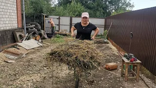 Влог :Купили Дом на Юге /Переехали с Дальнего Востока /Пробуем свой Урожай/Растет "как на дрожжах"