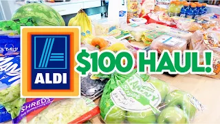 $100 ALDI GROCERY HAUL 🍎 MEAL PLAN