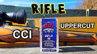 CCI Uppercut .22LR RIFLE Ballistic Gel Test & Review