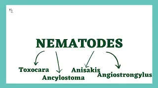 Nematodes Whose Larvae Cause Disease | Toxocara | Anisakis | Ancylostoma | Angiostrongylus