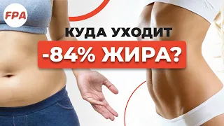 Как похудеть? Мы ВЫДЫХАЕМ 84% жира! Фантастика 🙀 Про похудение от Рубена Мирмана | TED на русском