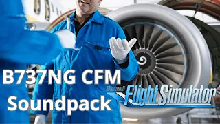 New FTSIM Soundpack for PMDG 737NG! are they really good now?....