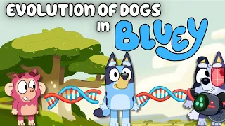 BLUEY THEORY: The Evolution of Dogs in Bluey Explained (Why do Man Made Dog Breeds exist in Bluey?)