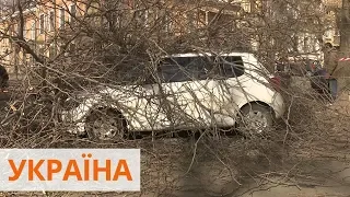 Непогода в Украине: погибла женщина, повалены деревья, без света 251 населенный пункт