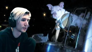 xQc reacts to Live PD: Odd Way to Carry (with chat)