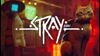 STRAY Прохождение #1