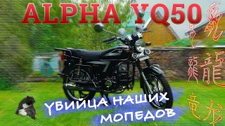 МОПЕД АЛЬФА!!! ВСЯ ПРАВДА!!! Alpha YQ50 / ЯГУАР по Китайски / Иван Зенкевич