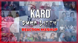 KARD - 'Dumb Litty' MV - Reaction Mashup