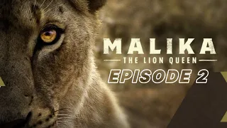 Malika the Lion Queen E2 | Wild Life Documentary Hindi @WildPlanetHindi