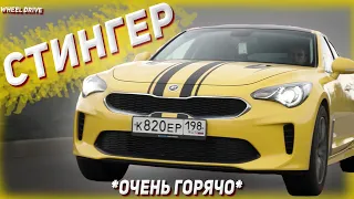 Киа Стингер - спорт для богатых или К5 с глупым видом? Автообзор, автоподбор и тест драйв