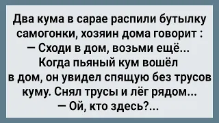 Кум Увидел Спящую Без Трусов Куму и Лег Рядом! Сборник Свежих Анекдотов! Юмор!