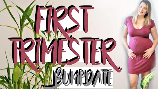 FIRST TRIMESTER WEEKLY UPDATE WITH HG (Hyperemesis gravidarum) | PREGNANCY WEEK 14 UPDATE