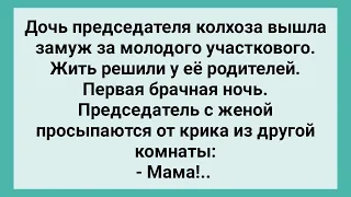 Первая Брачная Ночь Дочки Председателя! Сборник Свежих Смешных Жизненных Анекдотов!