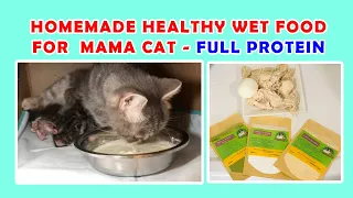 HOMEMADE HEALTHY WET FOOD FOR MAMA CAT II FULL PROTEIN II PET SUPPLEMENTS II NEWBORN KITTENS