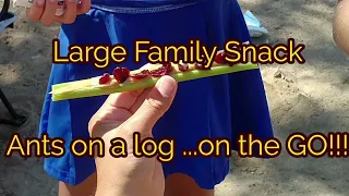 Large Family Snack...."Ants on a log"...on the go!