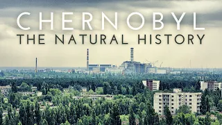 The Natural History of Chernobyl