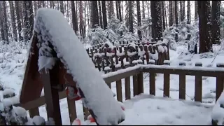 Кладбище домашних животных