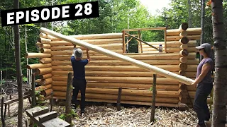 Building A Log Cabin | Ep. 28 | Finally above the window frame! How much will the cabin settle?