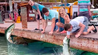 FACING FEAR! Feeding GIANT Fish! Family Trip to Florida Keys
