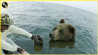 25 Animals That Asked People for Help & Kindness | Best Moments Of 2022
