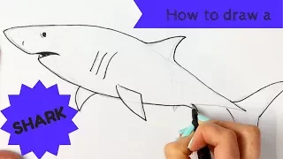 Beginners - How to Draw a Great White Shark