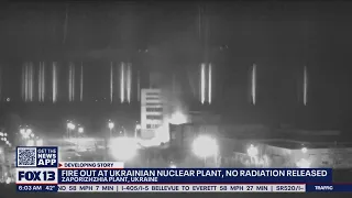 Fire out at Ukrainian nuclear plant, no radiation released