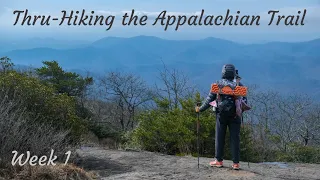 Appalachian Trail Thru Hike NoBo 2023 | Week 1: Approach Trail - Mile 70