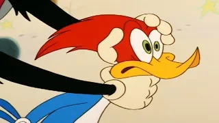 Woody Woodpecker Show | Pinheads | 1 Hour Compilation | Videos For Kids