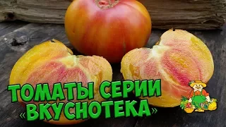 Семена томатов 🍅 Обзор сортов томатов серии ВКУСНОТЕКА 🍅 Агрофирма ПОИСК