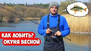 Как ловить ОКУНЯ ВЕСНОЙ - типы снастей и проводки на спиннинг