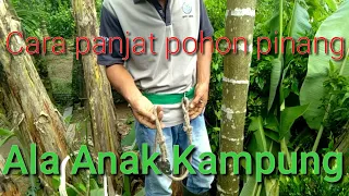 Cara panjat pohon pinang