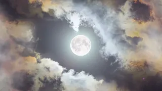 Heart Moon - Japanese Traditional Music 尺八 Shakuhachi - Rodrigo Rodriguez