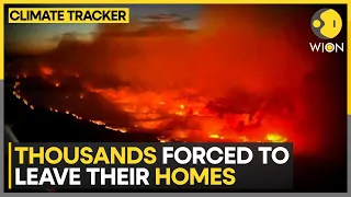 Canada firefighters battle ‘catastrophic’ wildfire | Latest News | WION Climate Tracker