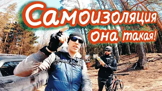 На велике в лес. Самоизолировались в Пржевальском.