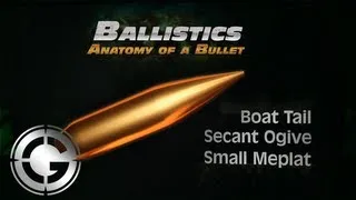 Anatomy of a Bullet