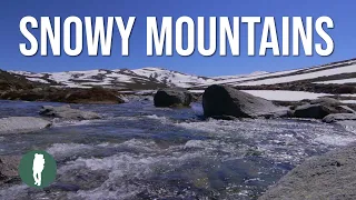 Snowy Mountains, Australia in HD, AWAKENING