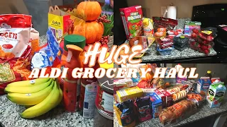 HUGE $200 ALDI Grocery Haul | Restocking & Restoring Shelves | Family of 2 now!