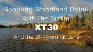 Landscape Photography/Shooting local Woodland Detail with The Fujifilm XT30 and the 18-55mm kit lens