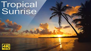 8 HOURS 4K Tropical sunrise beach relaxation video Relaxing Sounds Calm Ocean Waves & Singing Birds