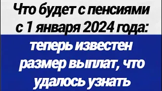 ОГО! Что будет с пенсиями с 1 января 2024 года теперь известен размер выплат