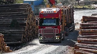 Scania R500 Timber Truck 8/ Sound