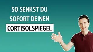 So senkst du sofort deinen Cortisolspiegel