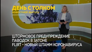 «День с Толком». 29.05.2024